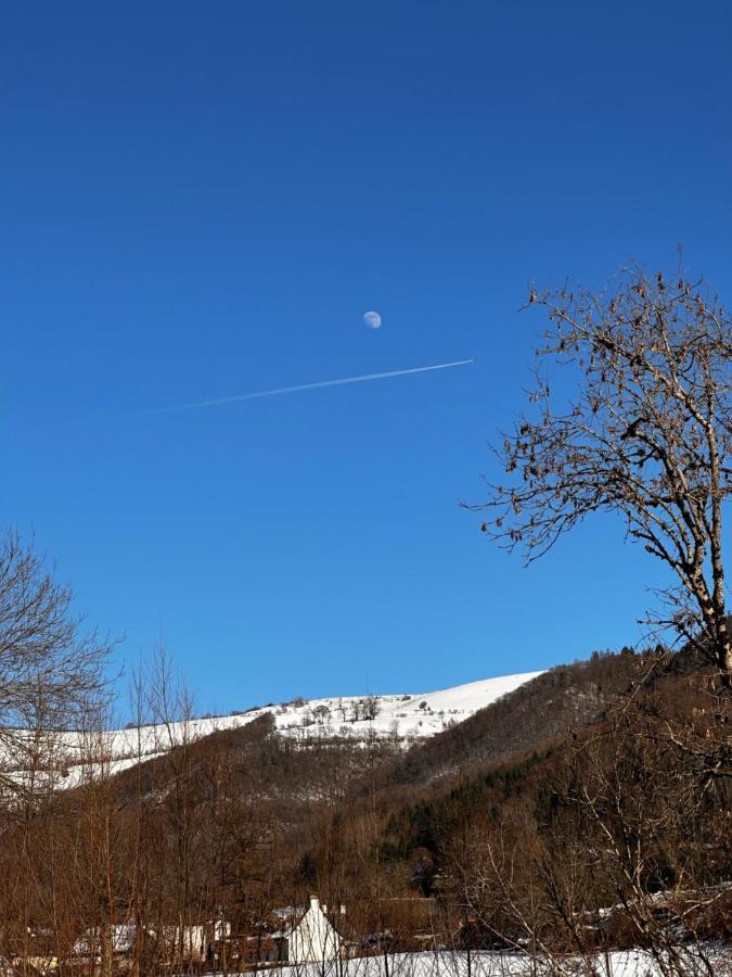 Belle Maison De Ville Au Coeur Du Village De Montagne Vic-sur-Cère Εξωτερικό φωτογραφία