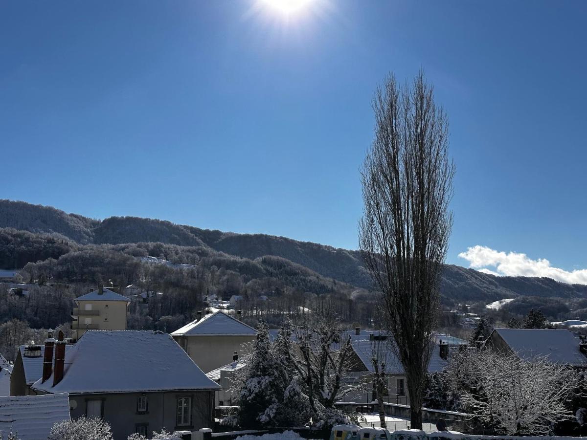 Belle Maison De Ville Au Coeur Du Village De Montagne Vic-sur-Cère Εξωτερικό φωτογραφία